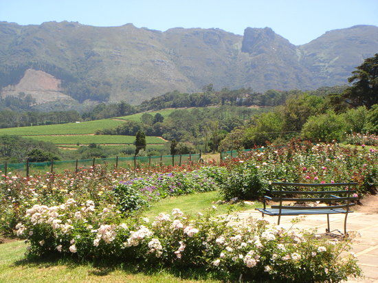 Kawiarnia Chart Farm